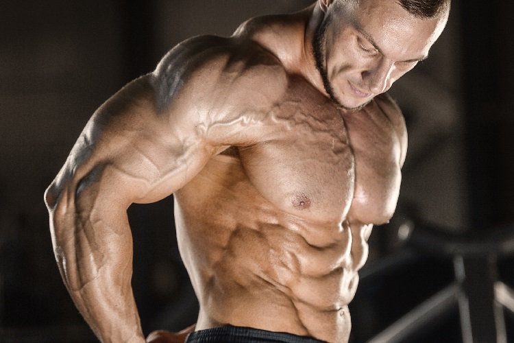 Did Bodybuilders Confess about Best Euro Pharmacies Online?
