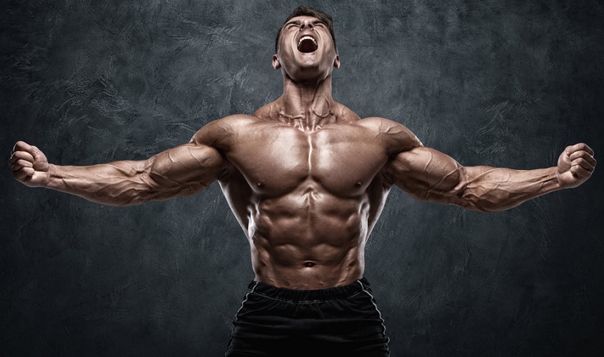 Unlock Peak Performance: A Guide to Buy Ultima-TriTest 350 Blend